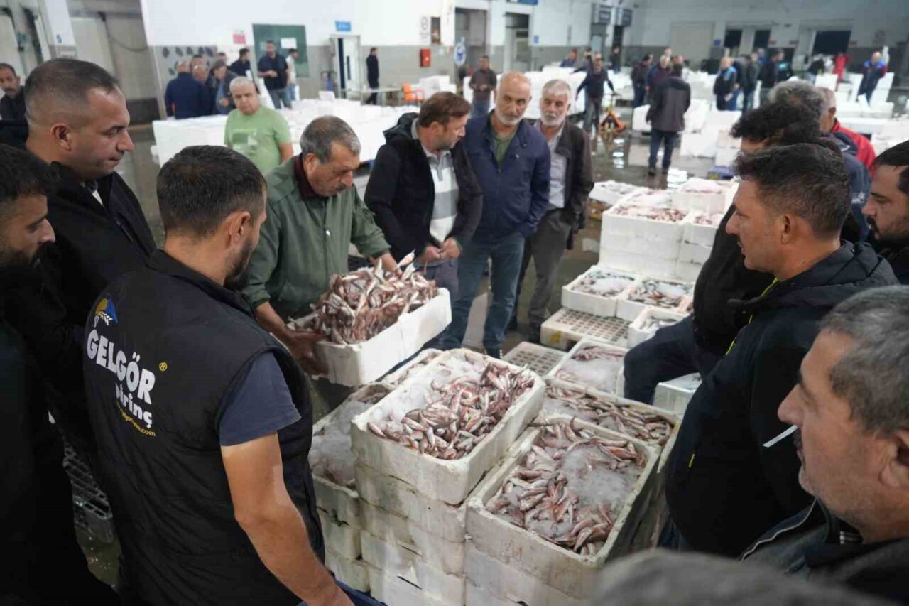 Samsun’da balık halinde gece 03.00’te yapılan mezatta kasalar dolusu mezgit,