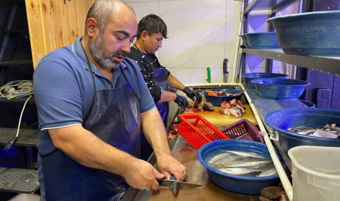 Bu yıl av sezonunun bereketli geçtiğini belirten balıkçı esnafı Cengizhan