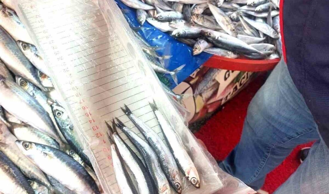 Afyonkarahisar’da seyyar su ürünleri satan balıkçı esnafına yönelik denetim gerçekleştirildi.