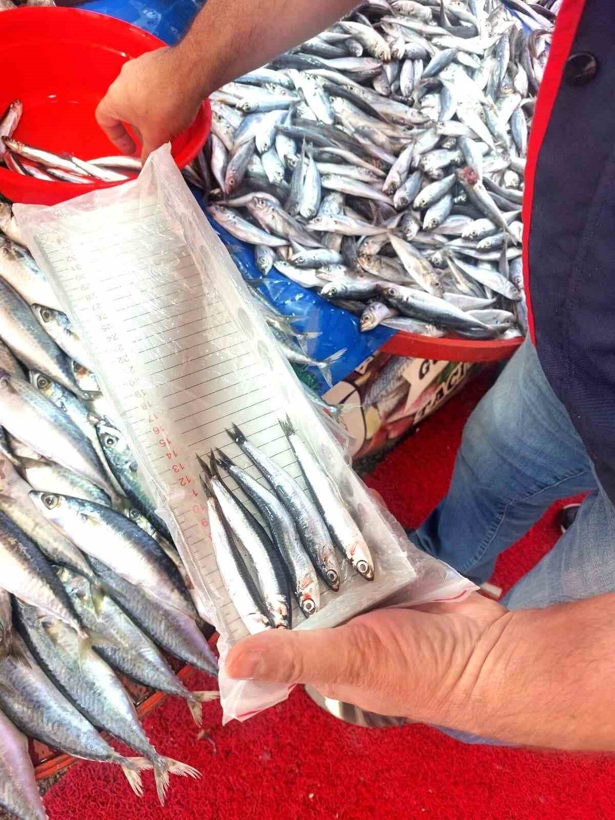 Afyonkarahisar’da seyyar su ürünleri satan balıkçı esnafına yönelik denetim gerçekleştirildi.