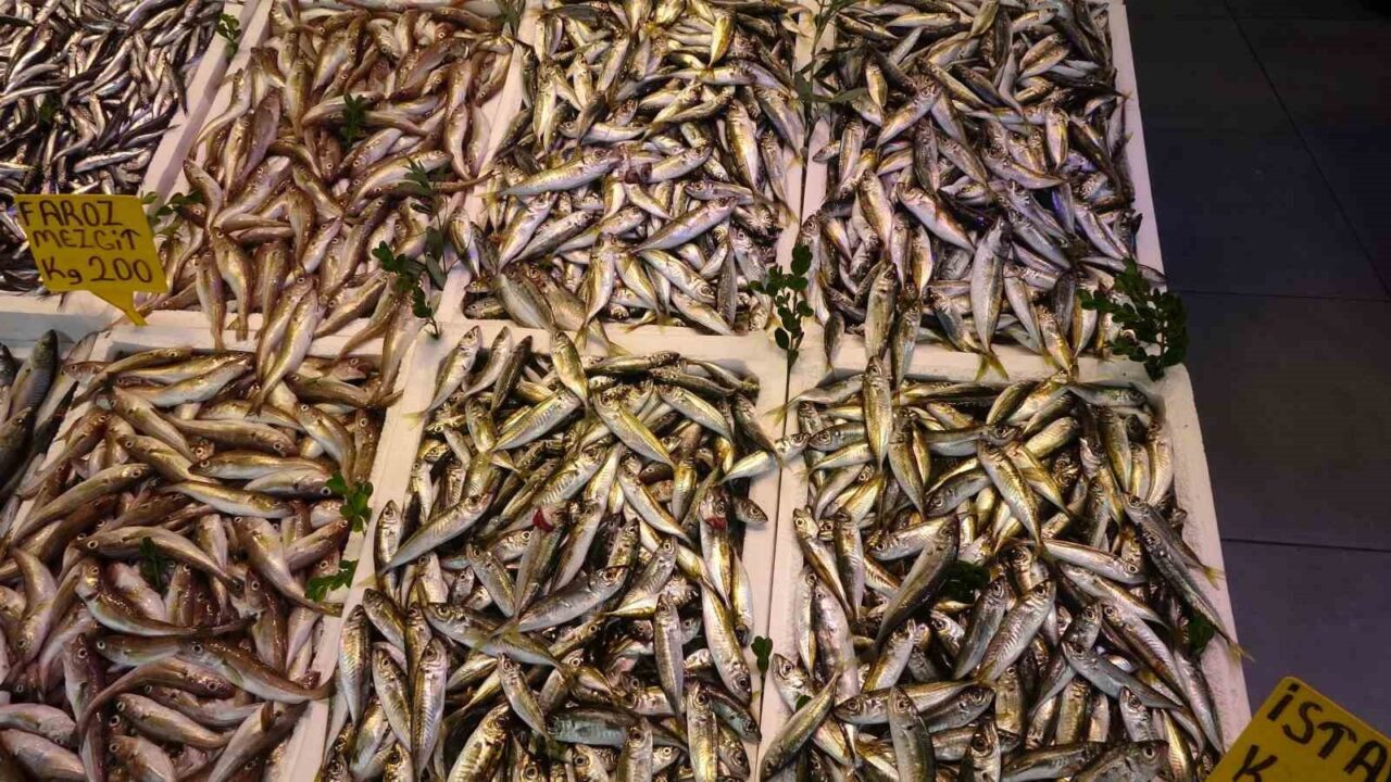 Denizlerde av sezonunu bir hafta önce başlamasına rağmen az miktarda