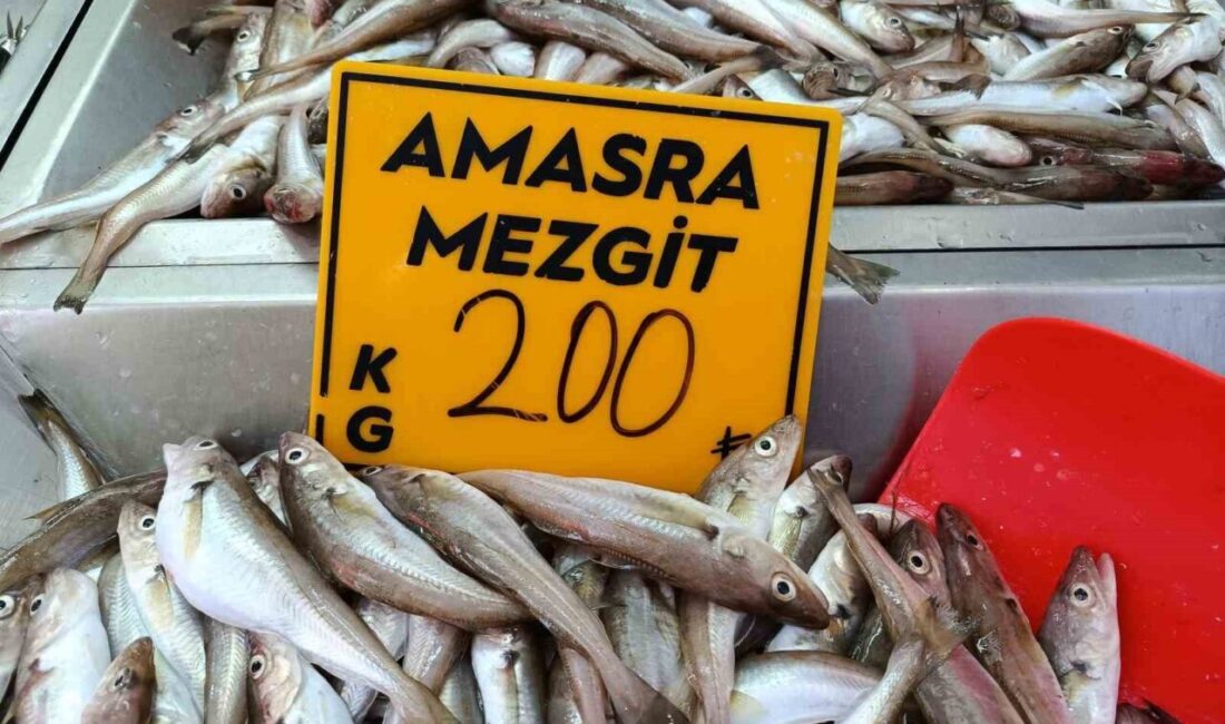 Bartın’da, eylül ayında balıkçıların ağına en çok takılan balık türü