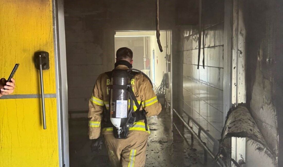 Balıkesir’in Bandırma ilçesinde Karacabey yolu üzerinde bulunan damızlık işletme tesislerinde