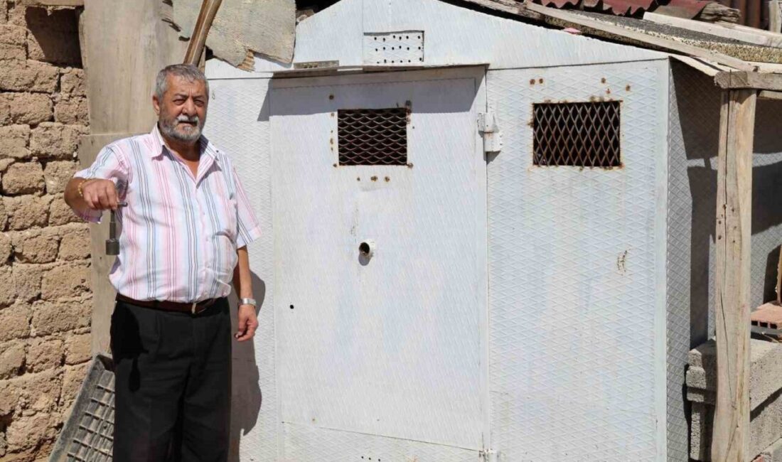 Sivas’ta çocuk yaşlarda başlayan güvercin sevdasını sürdüren Veysel Yazıcı, paha