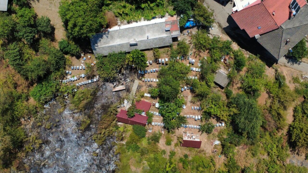 Bartın’ın Ulus ilçesi Aşağıçerçi köyünde arılıkta başlayarak otluk ve ormanlık