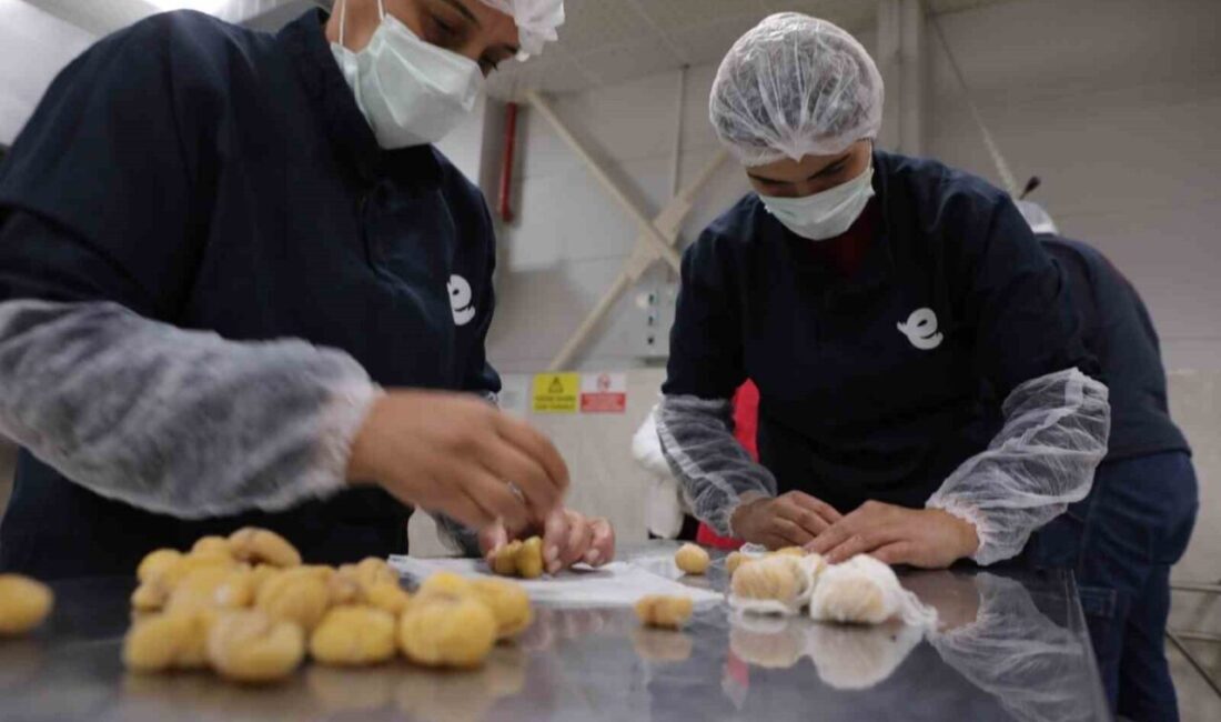 Önceki dönem Efeler Belediye Başkanı Fatih Atay’ın büyük emek vererek