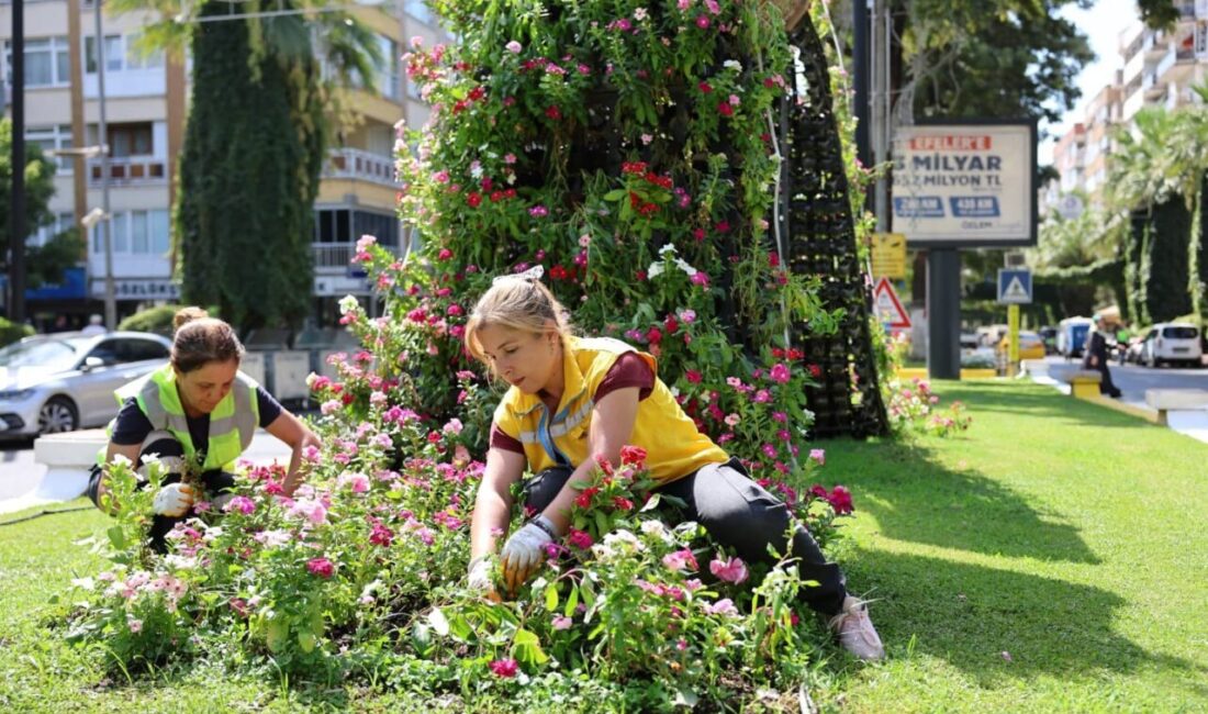 Aydın Büyükşehir Belediyesi, kentin dört bir yanını mevsimlik çiçeklerle süslemeye