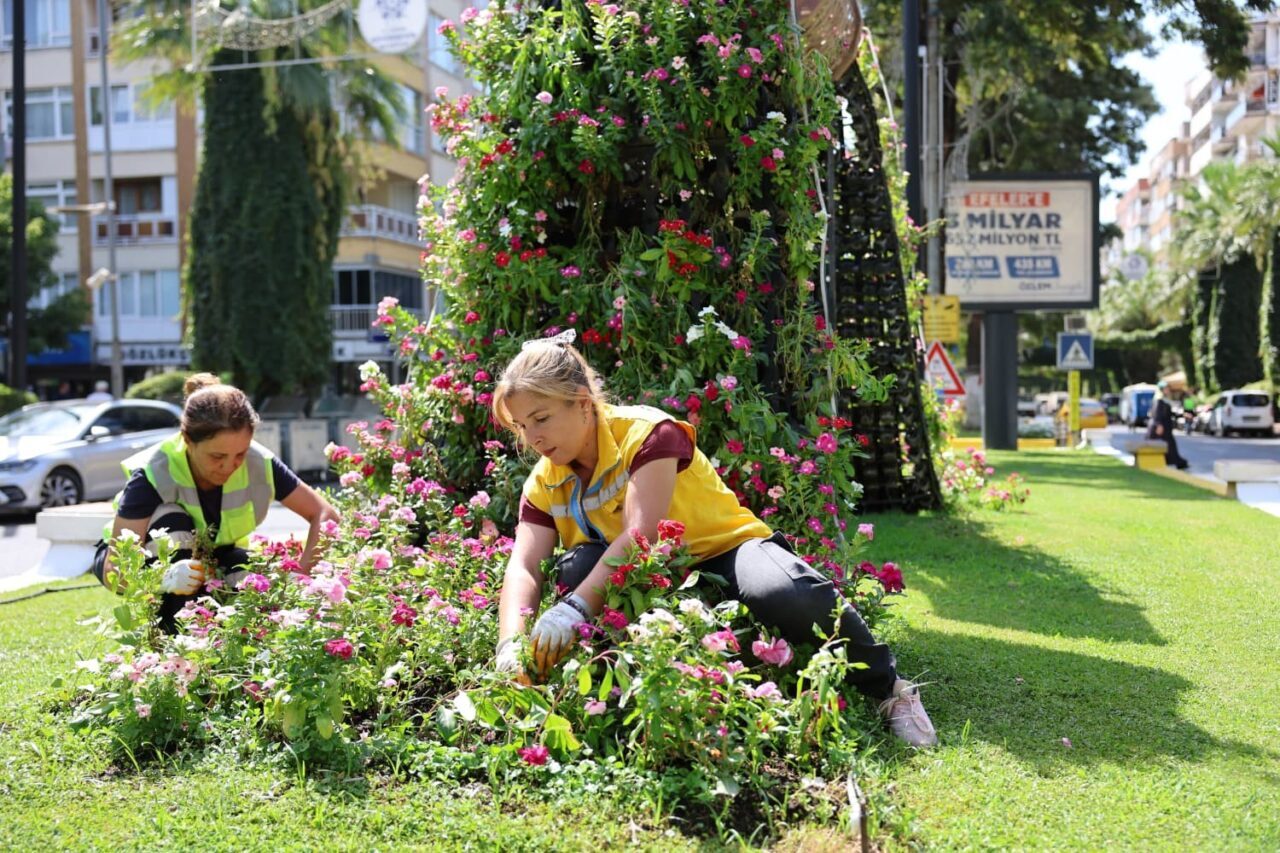 Aydın Büyükşehir Belediyesi, kentin dört bir yanını mevsimlik çiçeklerle süslemeye