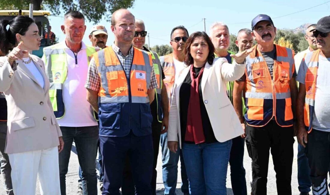 Aydın Büyükşehir Belediye Başkanı Özlem Çerçioğlu, AK Parti Aydın Milletvekili