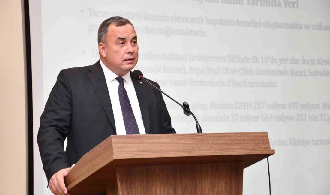 Aydın Ticaret Borsası Yönetim Kurulu Başkanı ve Ulusal Pamuk Konseyi