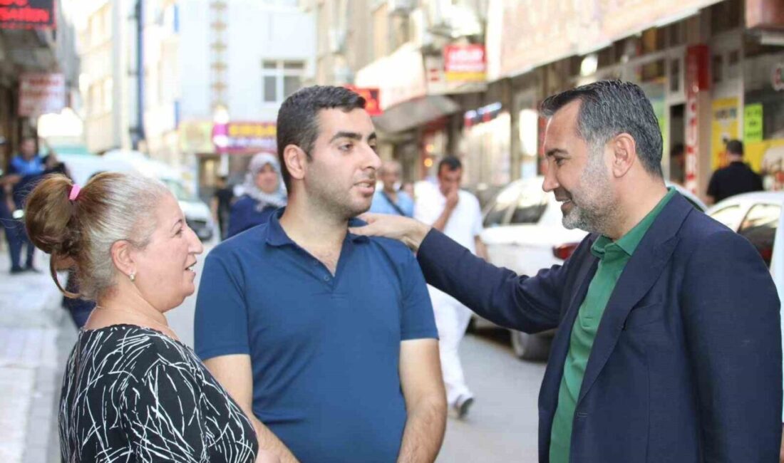 Elazığ’da yol yenileme çalışmalarını yerinde inceleyen Belediye Başkanı Şahin Şerifoğulları,