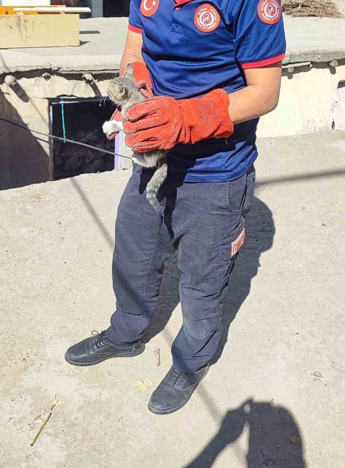 Batman’ın Huzur Mahallesi’nde iki duvar arasına sıkışan kedi, itfaiye ekiplerinin