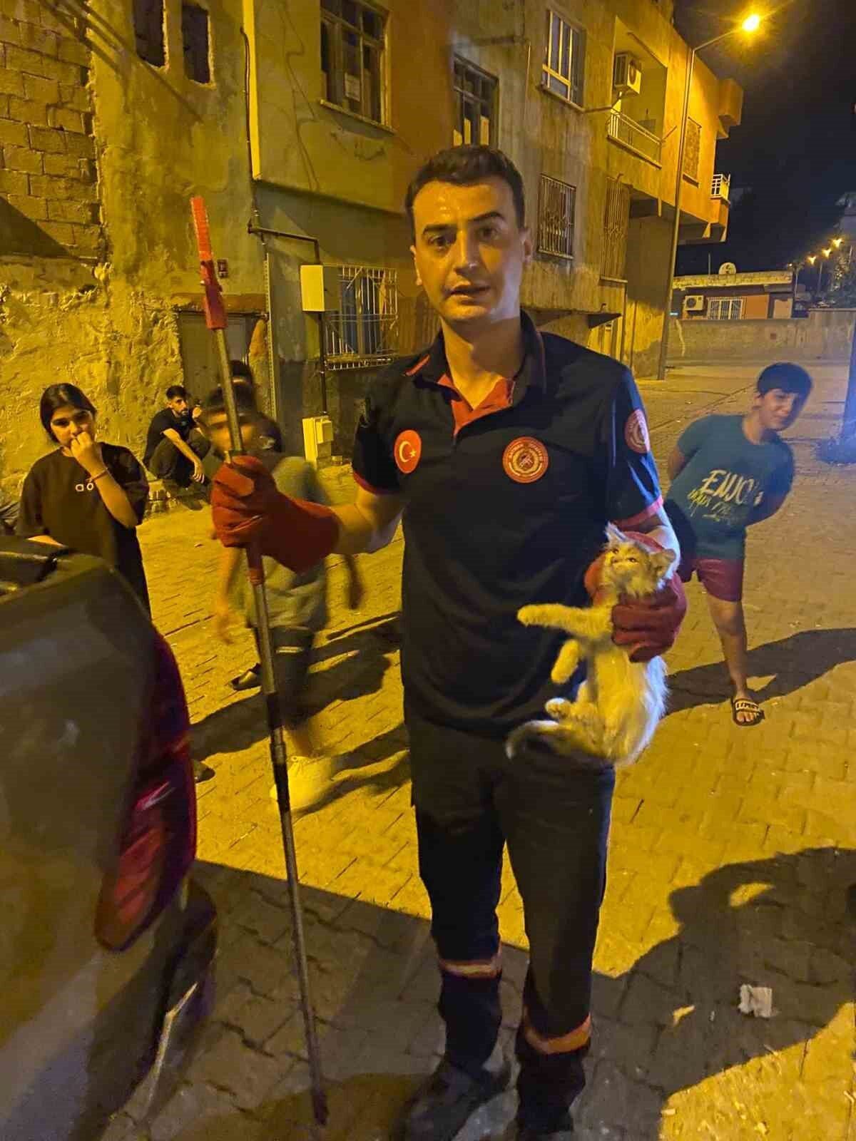 Batman kent merkezinde panoya sıkışan 2 kedi itfaiye ekipleri tarafından