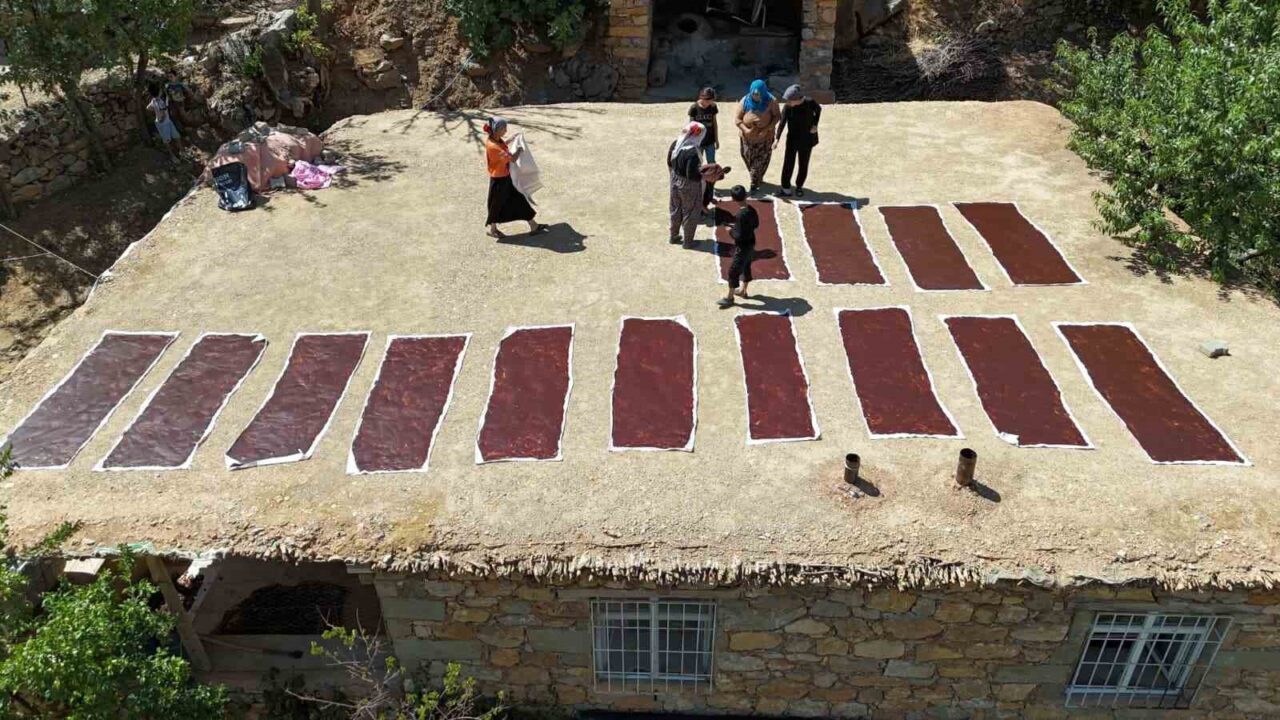 Batman’ın Sason ilçesinde, yaklaşık 3.000 rakımlı Mereto Dağının eteklerinde yer