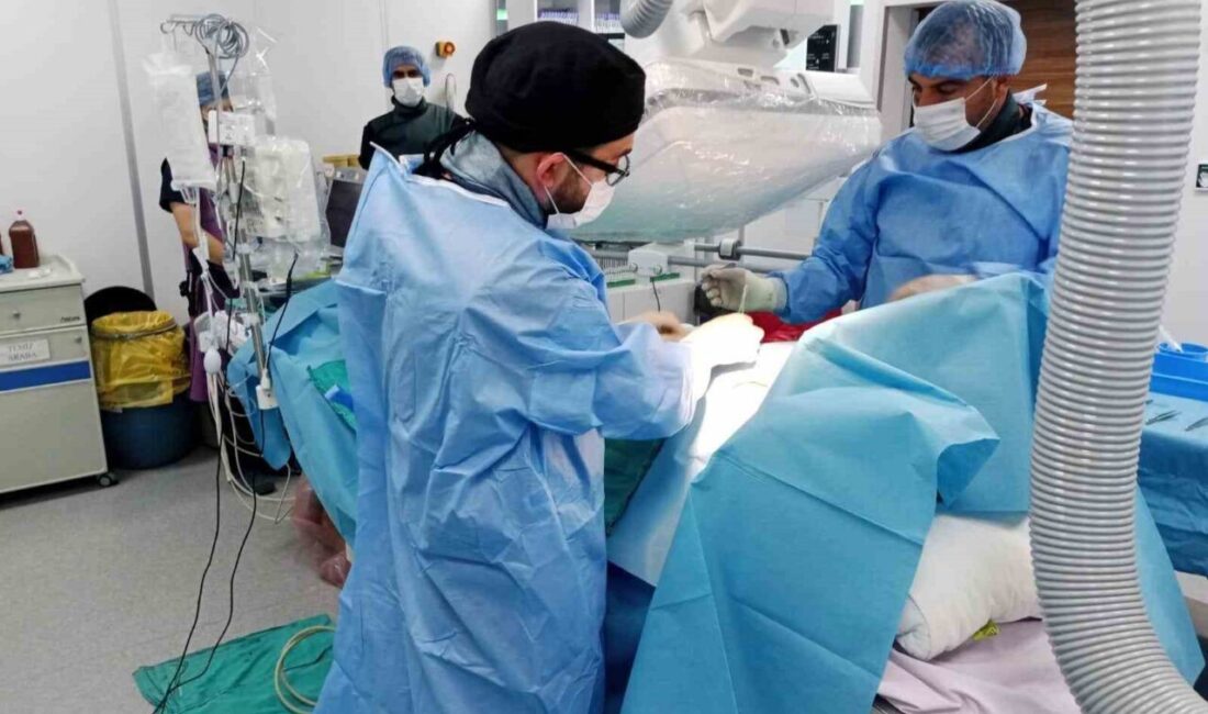 Bayburt Devlet Hastanesinde kalp yetersizliği ve ritim bozukluğu tedavisinde önemli