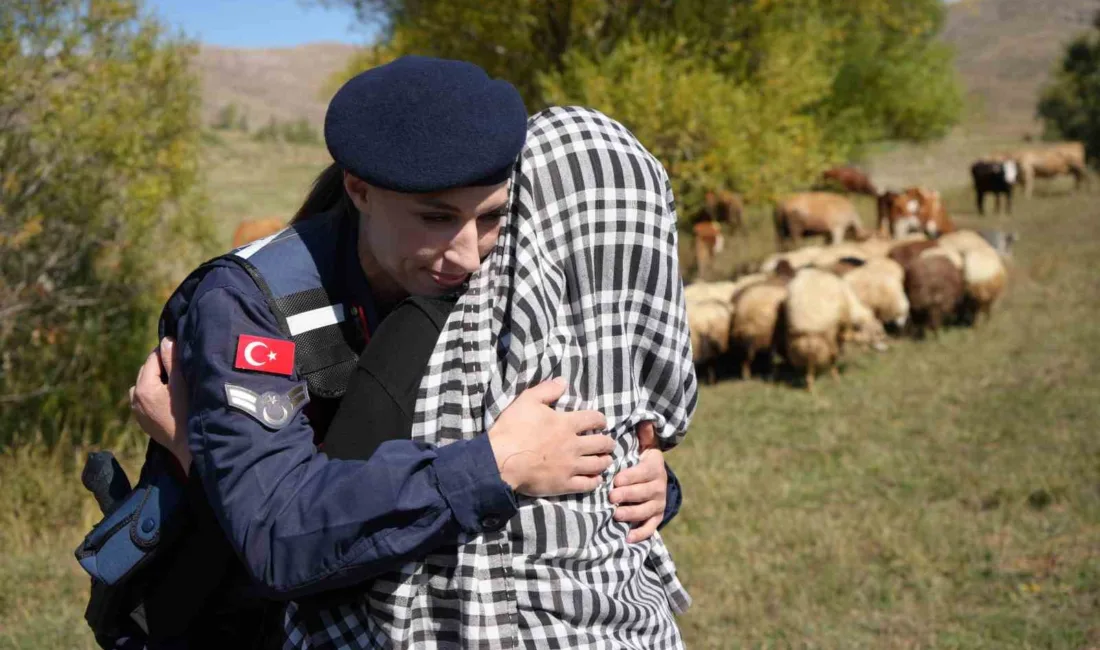 Bayburt’un Yaylapınar köyünde kaybolan 13 koyun, Bayburt İl Jandarma Komutanlığı