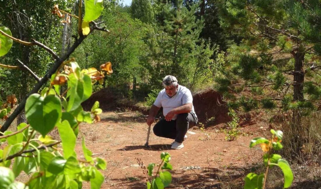 Bayburt’ta topraktan çıkarılan kehribar, binbir emekle takılara ve rengarenk tespihlere