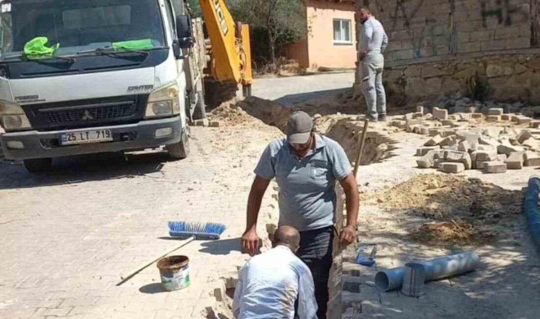 Bilecik’in Bayırköy beldesinde, altyapı ve çevre temizlik çalışmaları tamamlandı. Okul