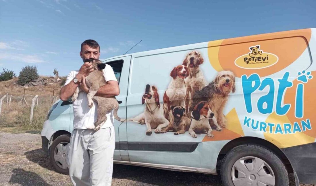 Talas Belediyesi Pati Evi ekipleri, 8 metre derinliğindeki harabe bir