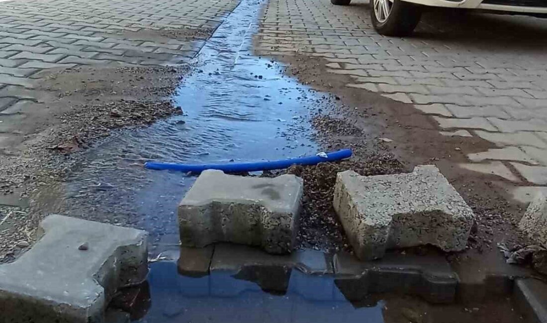 İzmir’in Bergama ilçesinde şebeke hattında meydana gelen patlak nedeniyle 15