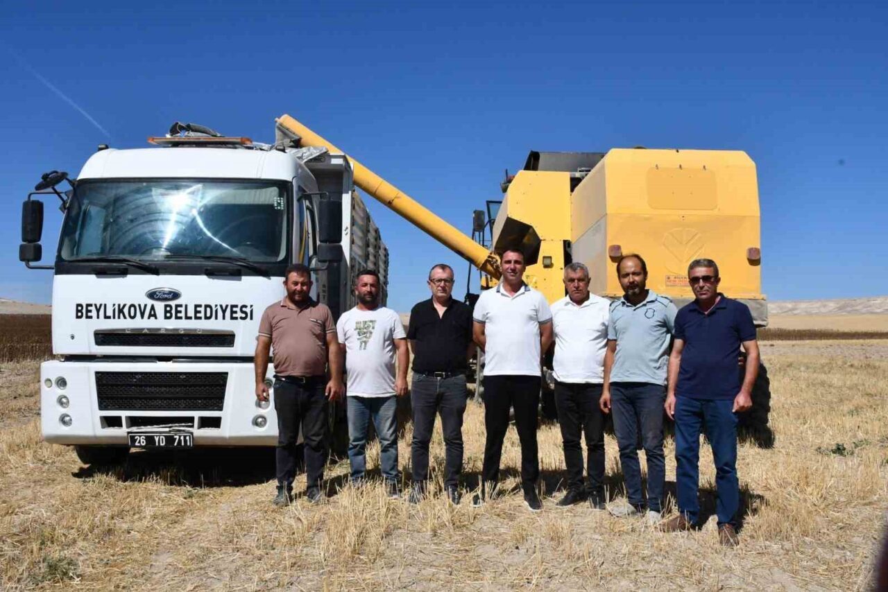 Eskişehir’de Beylikova Belediyesi personeli tarafından ekimi gerçekleştirilen yağlık ayçiçeklerinde hasat