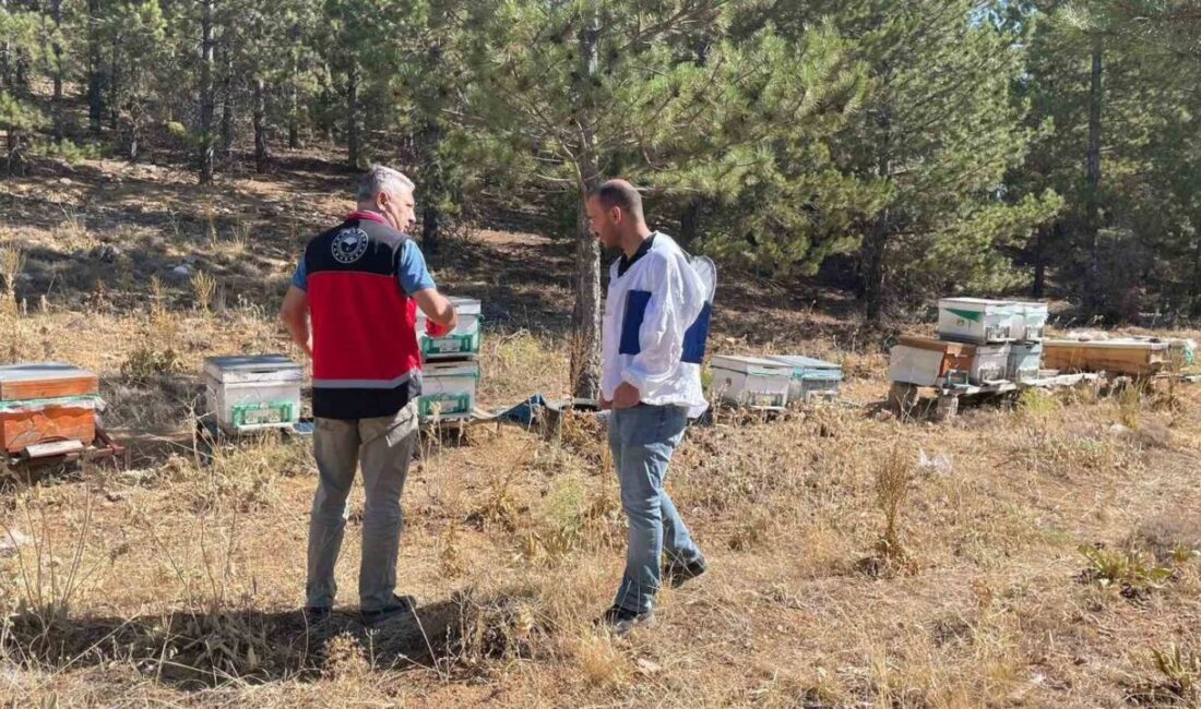 Konya’nın Beyşehir ilçesinde arılı kovan tespit ve sayım çalışmaları yapılıyor.