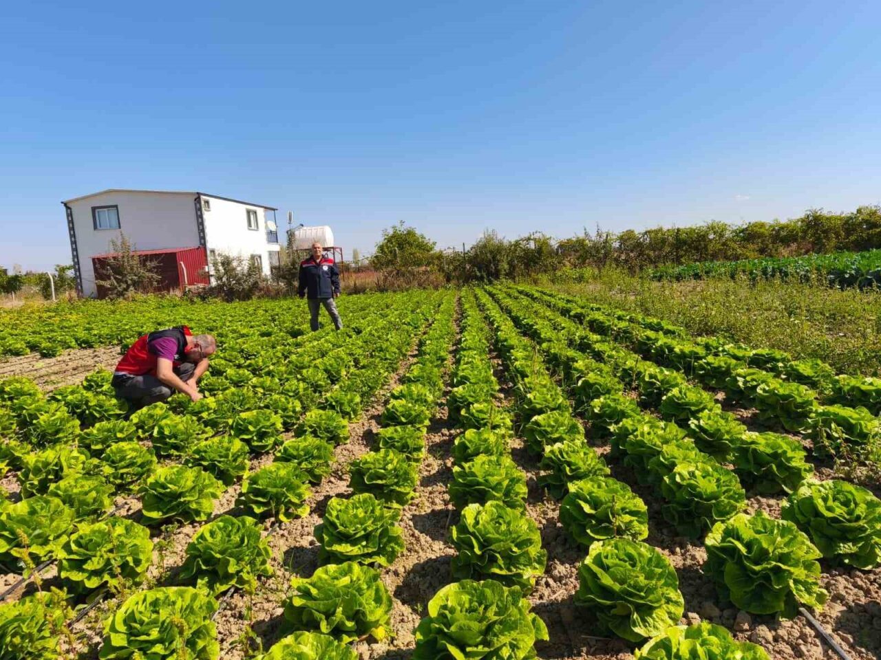 Konya’nın bitkisel üretimde önemli merkezlerinden Beyşehir ilçesinde bulunan meyve ve