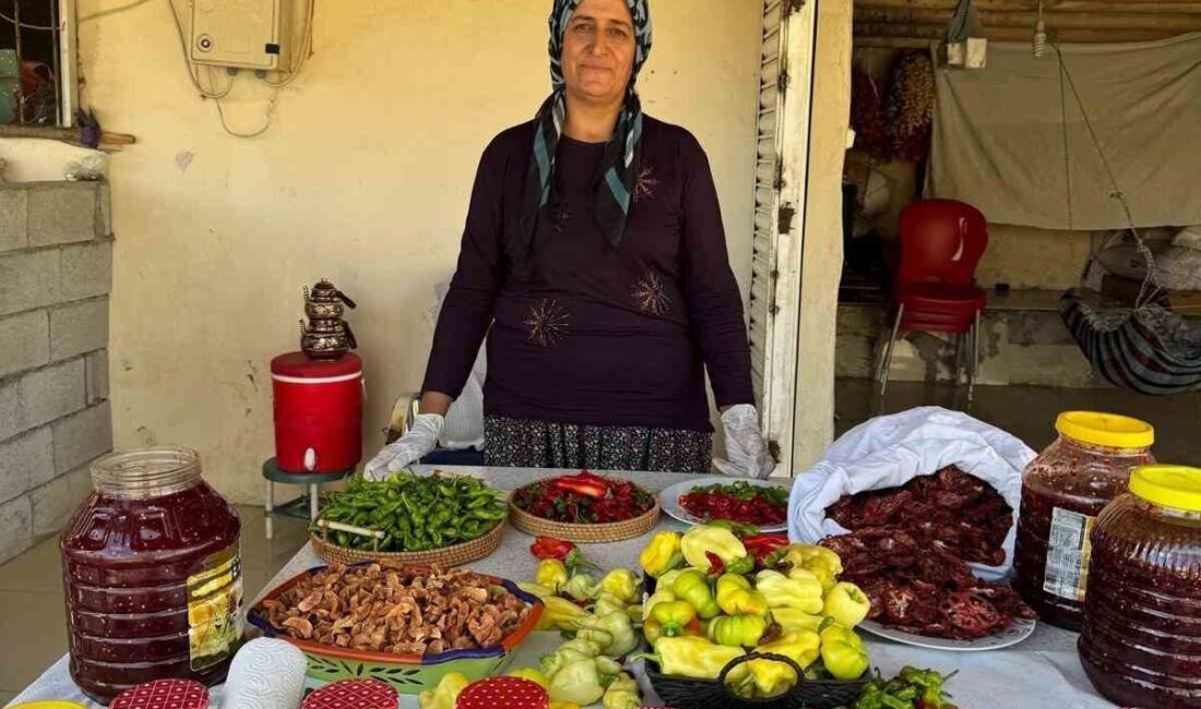 Diyarbakır’ın Çermik ilçesinde yaşayan girişimci kadın, coğrafi tescilli Çermik biberinden