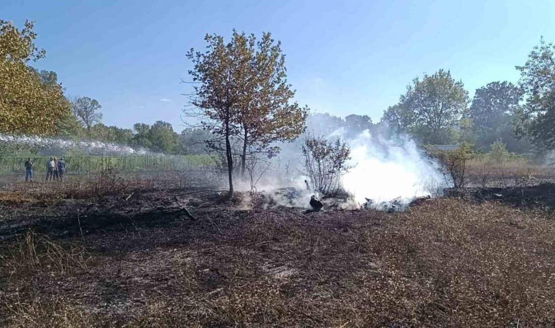 Bilecik’in Pazaryeri ilçesine bağlı Dereköy köyü Karadiken mevkiinde çıkan arazi