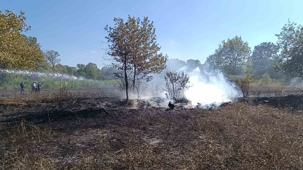 Bilecik’in Pazaryeri ilçesine bağlı Dereköy köyü Karadiken mevkiinde çıkan arazi