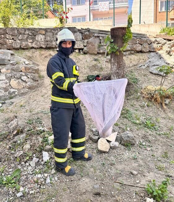 Bilecik’te yolda bulunan ’oluklu kertenkele’ ekiplerce tekrar doğaya salındı. Merkez