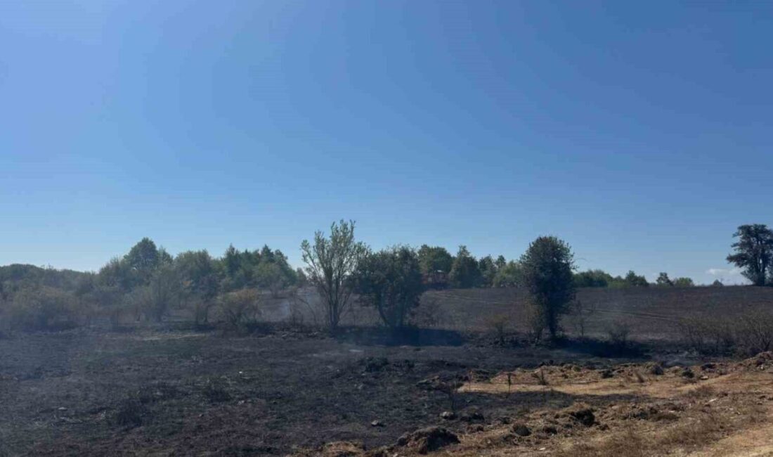Bilecik’te ormanlık alana yakın bir yerde başlayan anız yangında 2