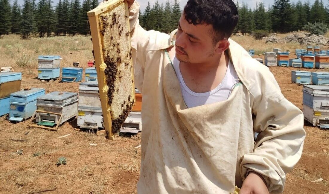 Kahramanmaraş’ta bilgisayar programcısı genç, sevdiği baba mesleği olan arıcılığı tercih