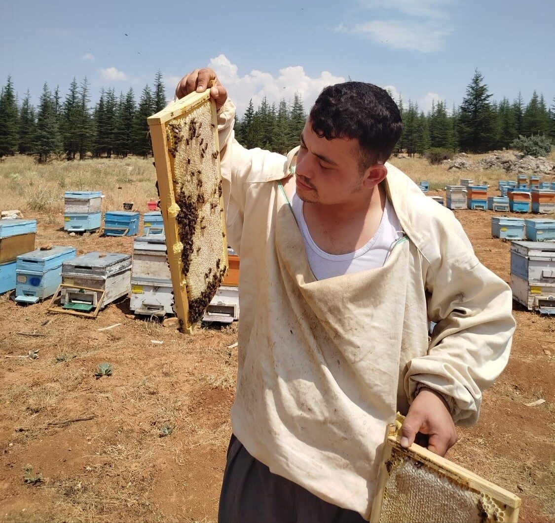 Kahramanmaraş’ta bilgisayar programcısı genç, sevdiği baba mesleği olan arıcılığı tercih