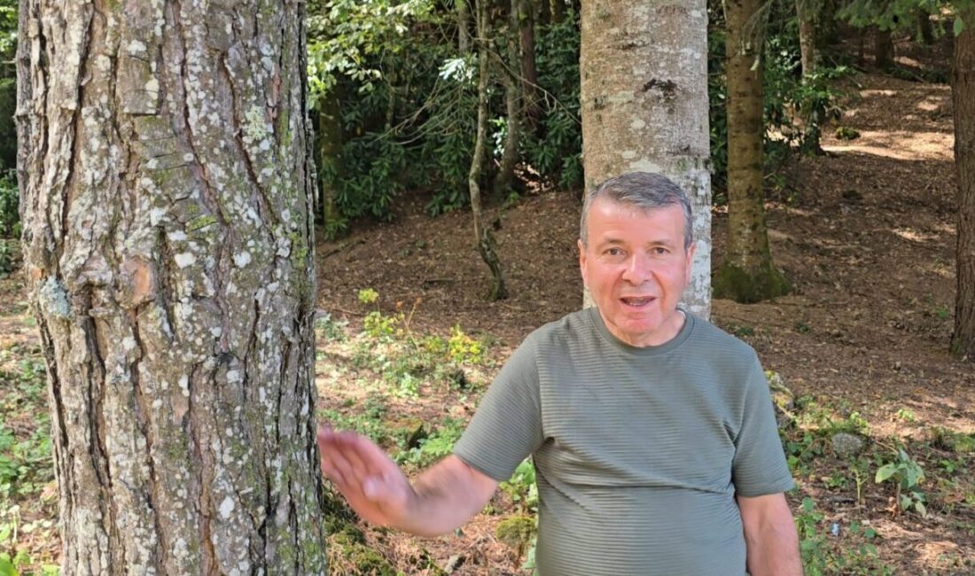 Mardin’in Kızıltepe ilçesinde yaşayan 55 yaşındaki Salih Kavan, yaklaşık 40