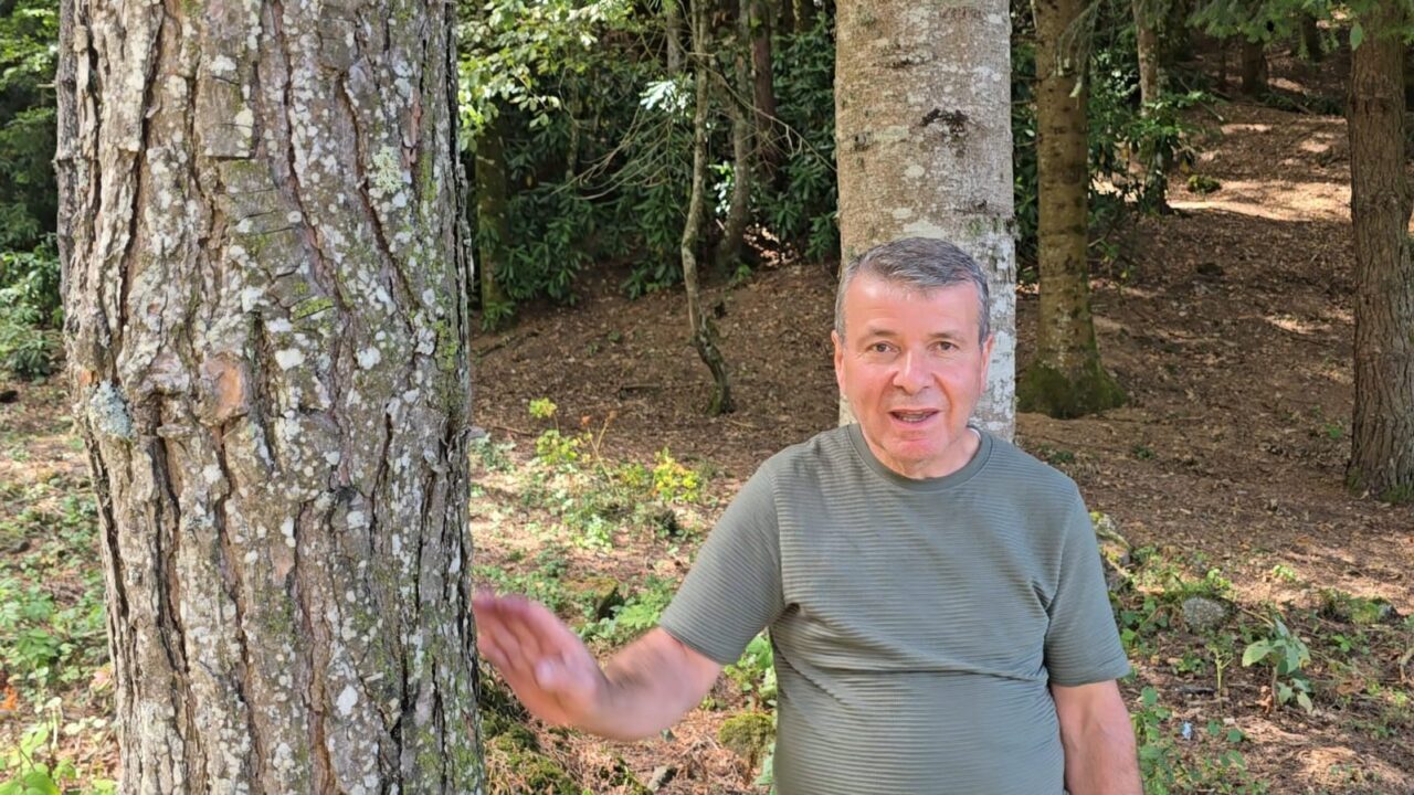 Mardin’in Kızıltepe ilçesinde yaşayan 55 yaşındaki Salih Kavan, yaklaşık 40