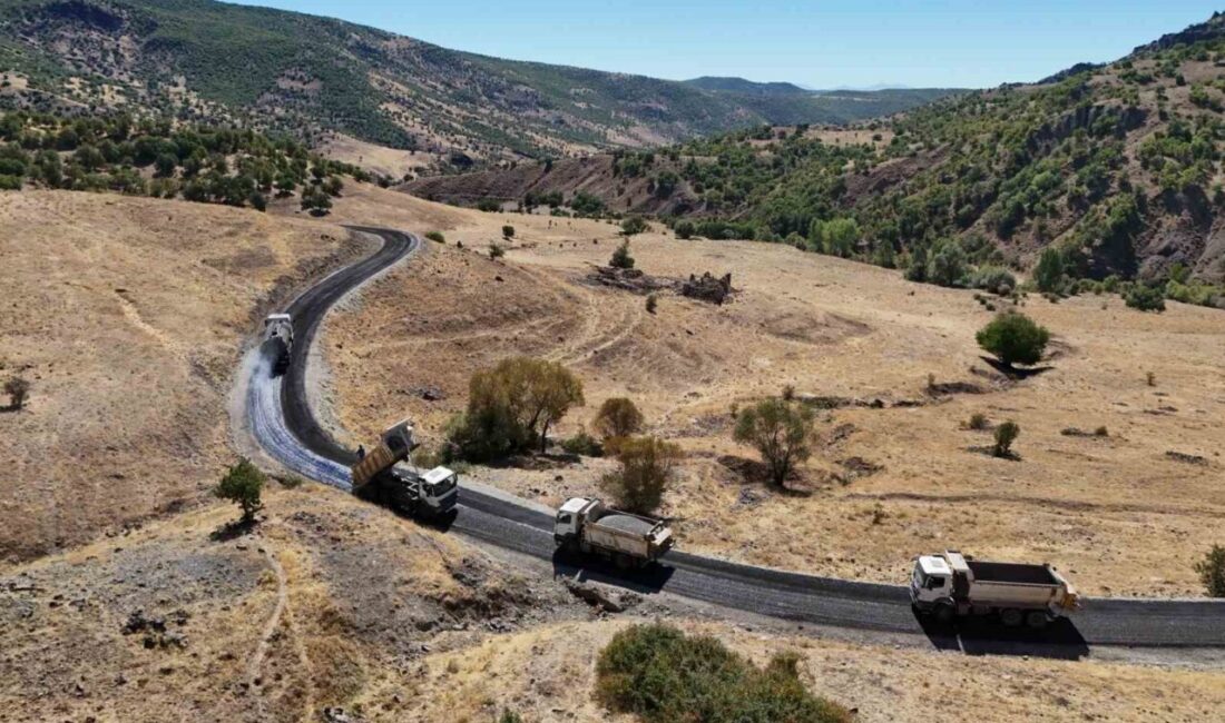 Bingöl İl Özel İdaresi ekipleri tarafından 2025 yaz döneminde 650