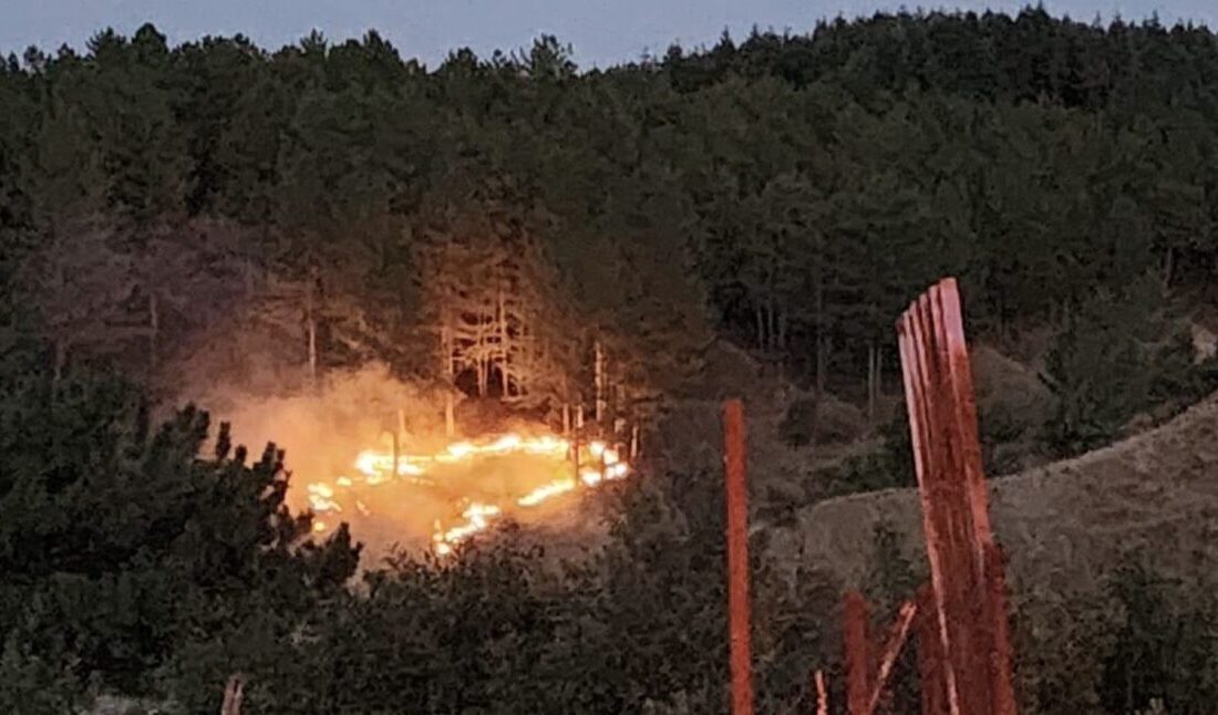 Bingöl’ün Genç ilçesinde çıkan orman yangını ekiplerin müdahalesi ile kontrol