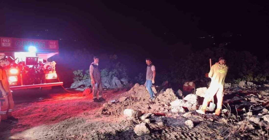 Bingöl’ün iki ilçesinde çıkan orman yangını, ekiplerin havadan ve karadan