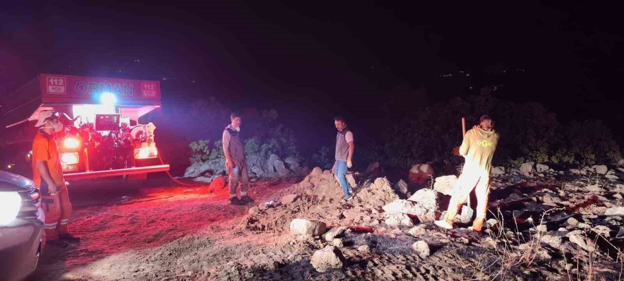 Bingöl’ün iki ilçesinde çıkan orman yangını, ekiplerin havadan ve karadan