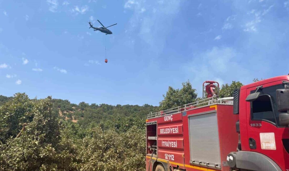 Bingöl’ün Genç ilçesinde çıkan orman yangını kontrol altına alınırken, havadan