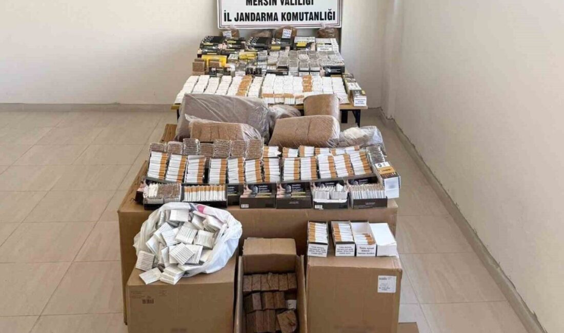 Mersin’in Bozyazı ilçesinde jandarma ekipleri 55 binden fazla dolu ve