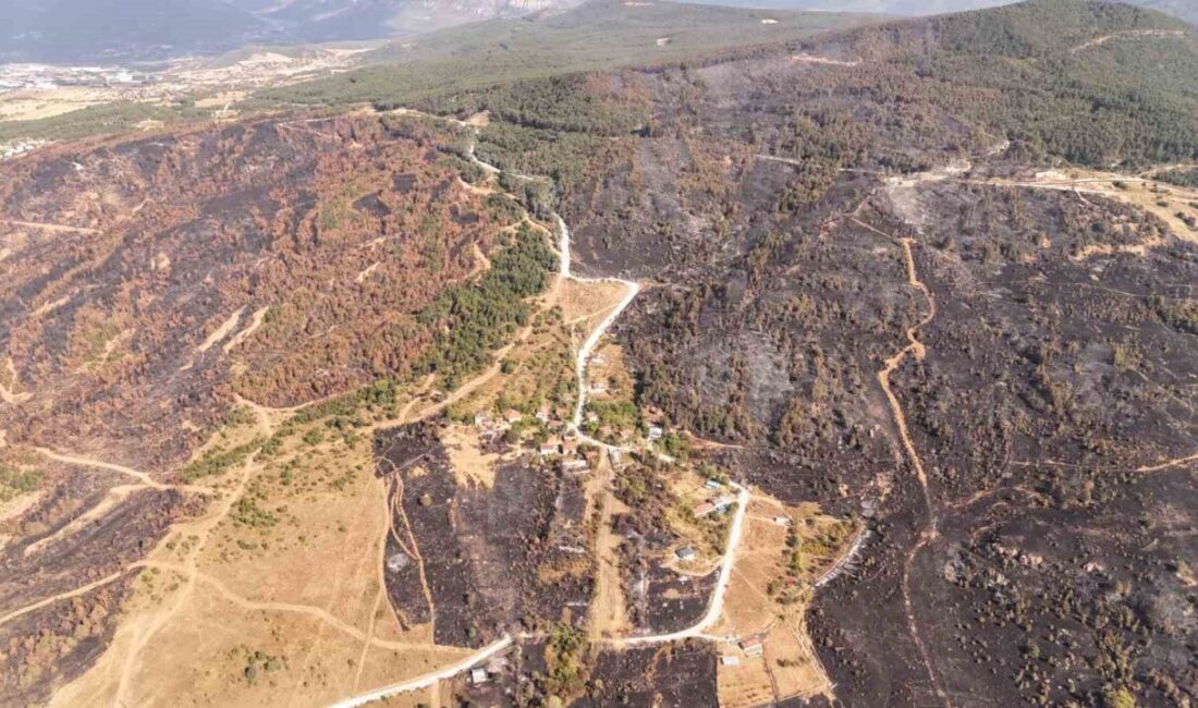Karabük’te bir ay arayla iki kez yangının arasında kalan Kahyalar