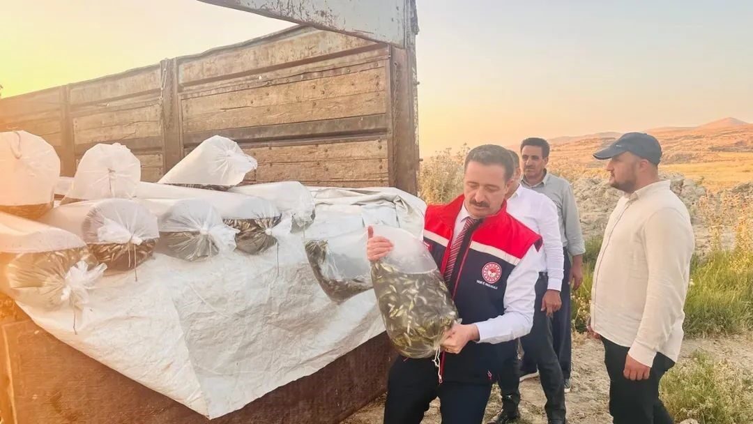 Bitlis Tarım ve Orman Müdürlüğü ekipleri tarafından Aygır ve Nazik