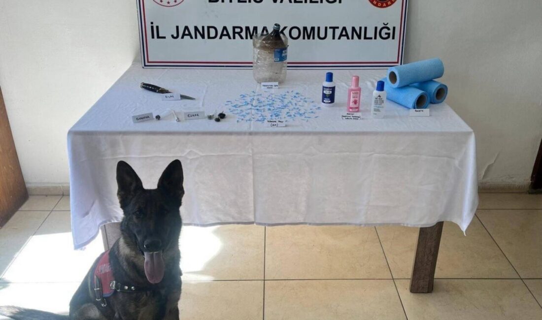 Bitlis İl Jandarma Komutanlığı tarafından Tatvan’a bağlı Benekli köyünde uyuşturucu