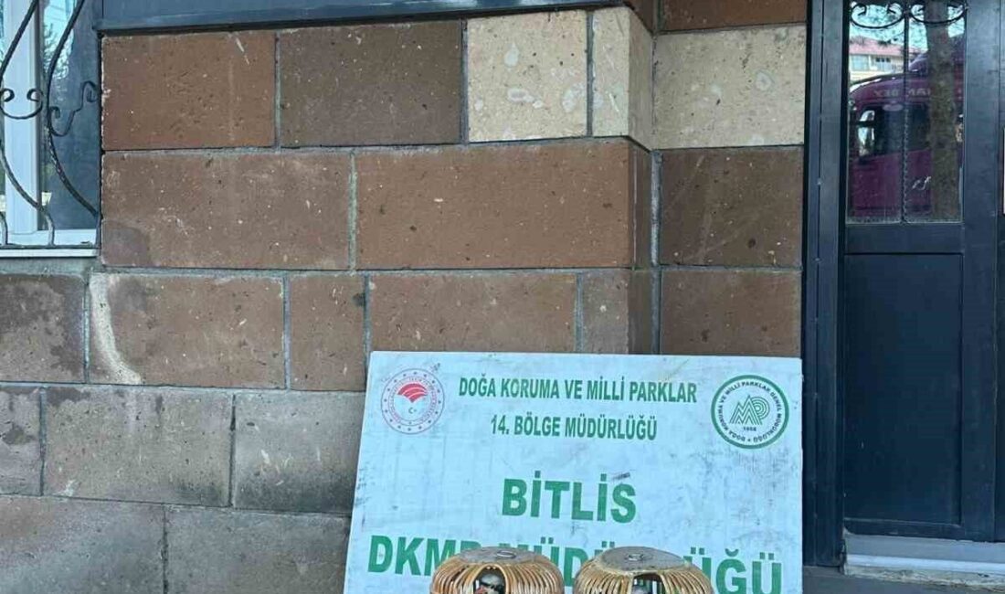 Bitlis’in Adilcevaz ilçesinde kaçak keklik avlayan şahıslara toplam 101 bin