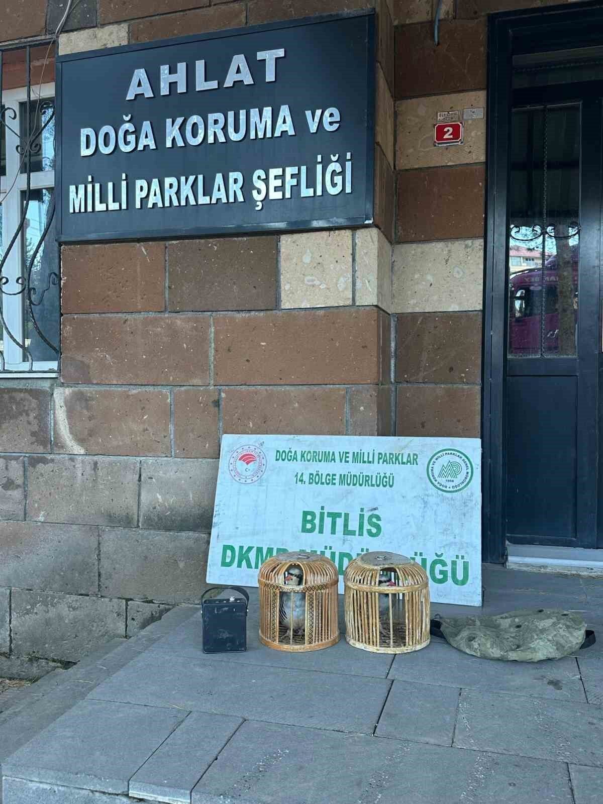 Bitlis’in Adilcevaz ilçesinde kaçak keklik avlayan şahıslara toplam 101 bin