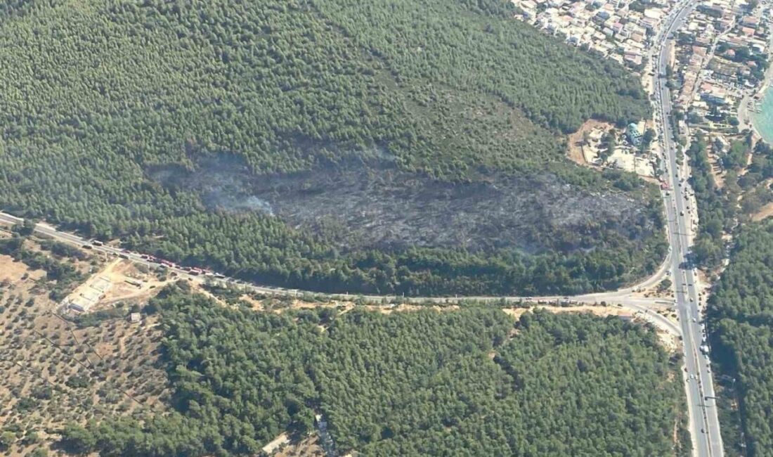Muğla’nın Bodrum ilçesinde çıkan orman yangını ekiplerin havadan ve karadan