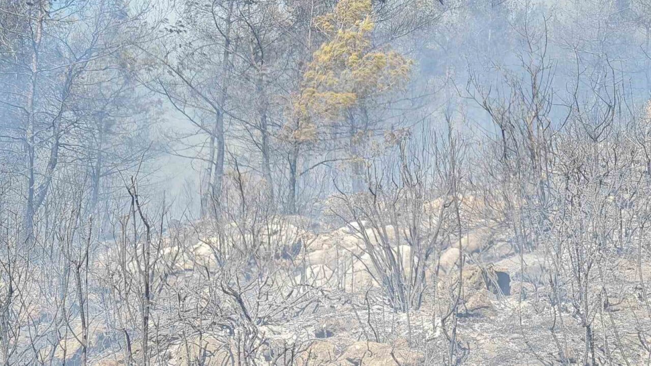 Muğla’nın Bodrum ilçesinde çıkan orman yangınına ekiplerin havadan ve karadan