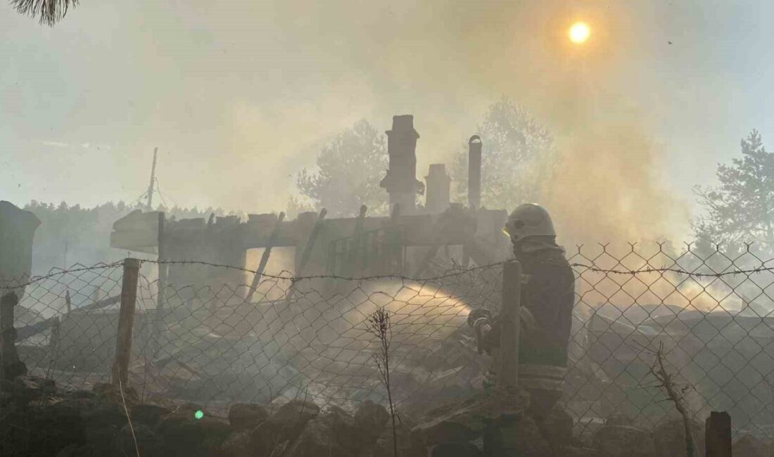 Bolu’da Aşağı Soku Yaylası’nda çıkan kundaklama yangınında 4 ev, 4